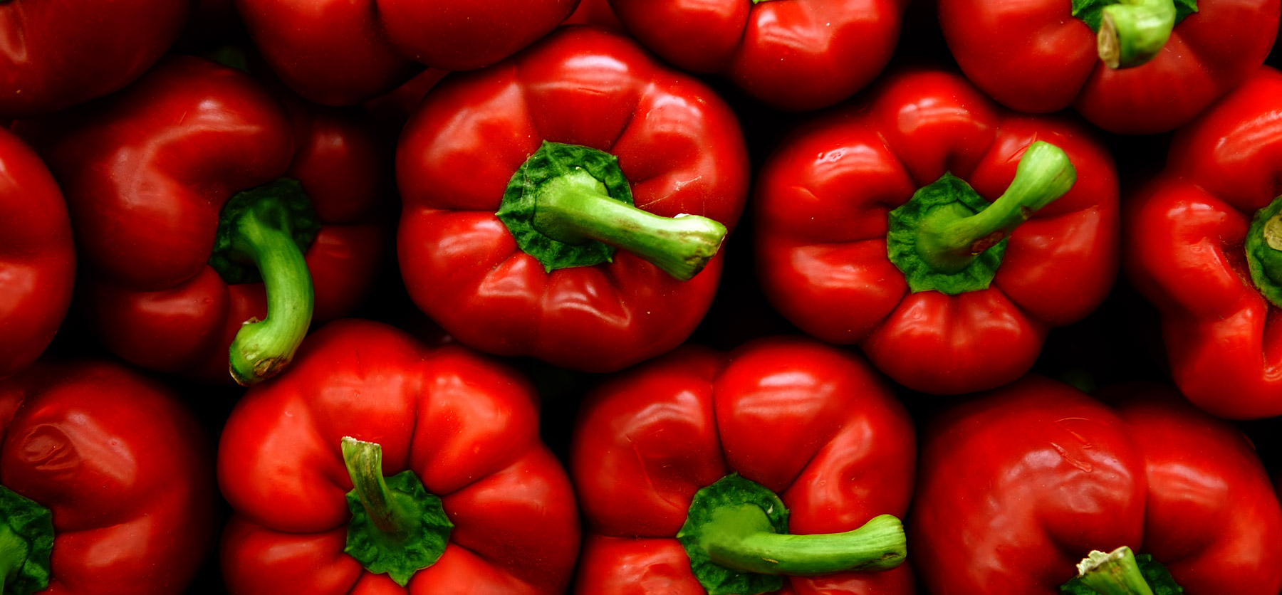 thinkpeppers Terranova Seeds New Zealand